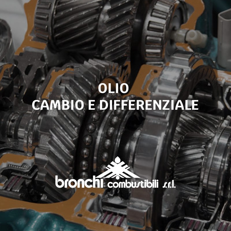 Olio cambio e differenziale
